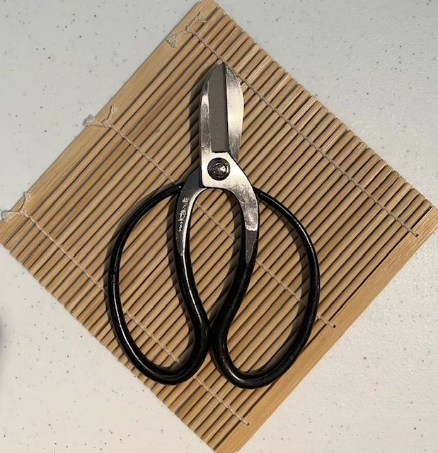 Ikebana Scissors (Hasami) Koryu style